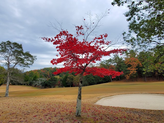 多治見カントリークラブ - Photo 7