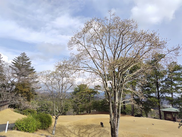 東海カントリークラブ　豊川コース - Photo 8