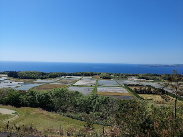 ときの郷ゴルフクラブ - Photo 5