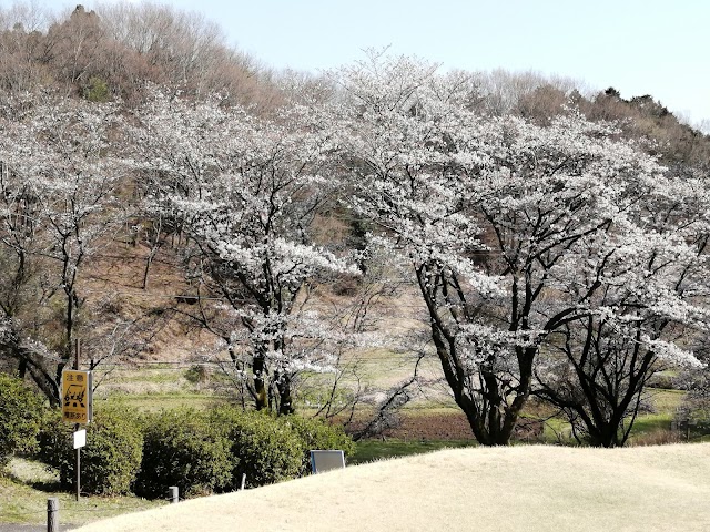 東京国際ゴルフ倶楽部 - Photo 3