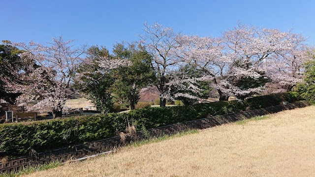 東京国際ゴルフ倶楽部 - Photo 5