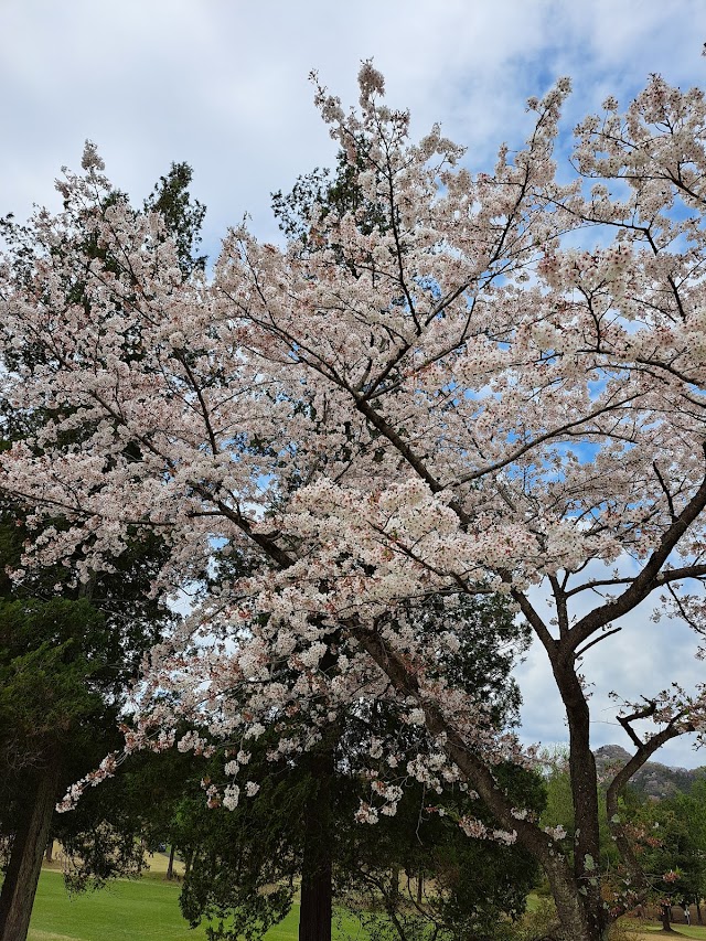 東京五日市カントリー倶楽部 - Photo 5