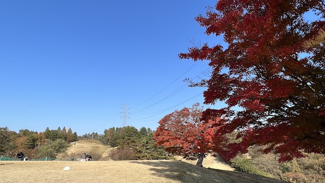 富谷パブリックコース - Photo 4