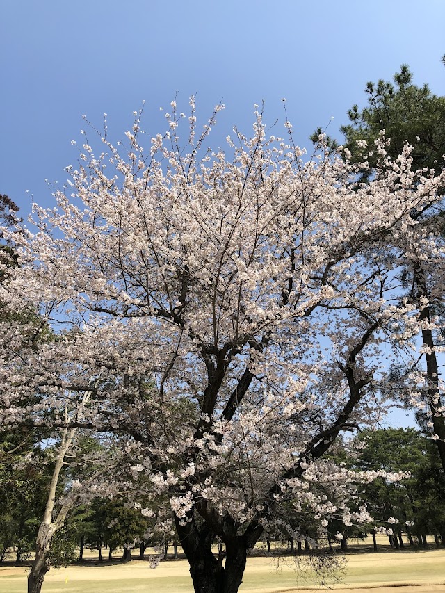 取手国際ゴルフ倶楽部 - Photo 6