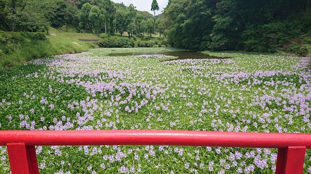 土佐ユートピアカントリークラブ - Photo 3