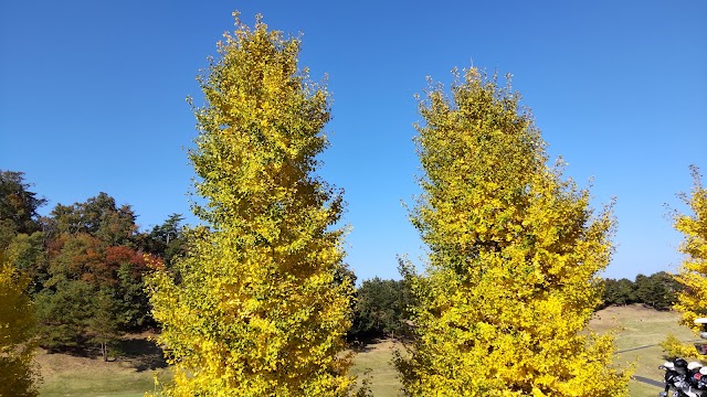 鳥取カントリー倶楽部吉岡温泉コース - Photo 5