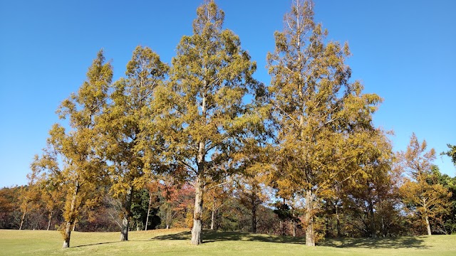 鳥取カントリー倶楽部吉岡温泉コース - Photo 3