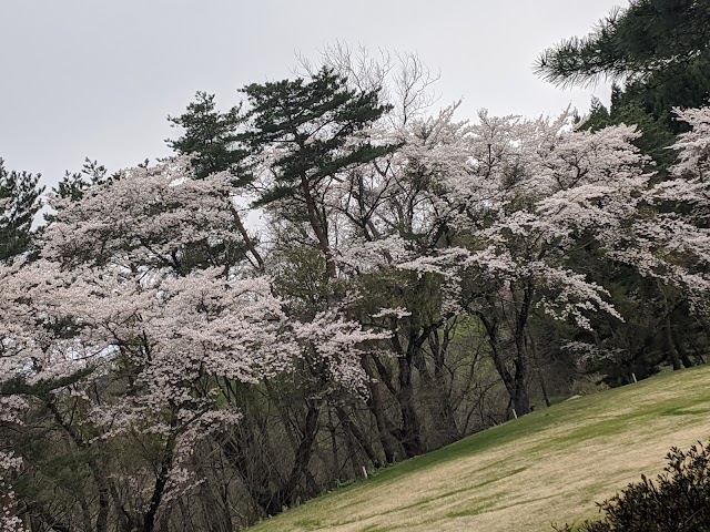 十和田国際カントリークラブ - Photo 7