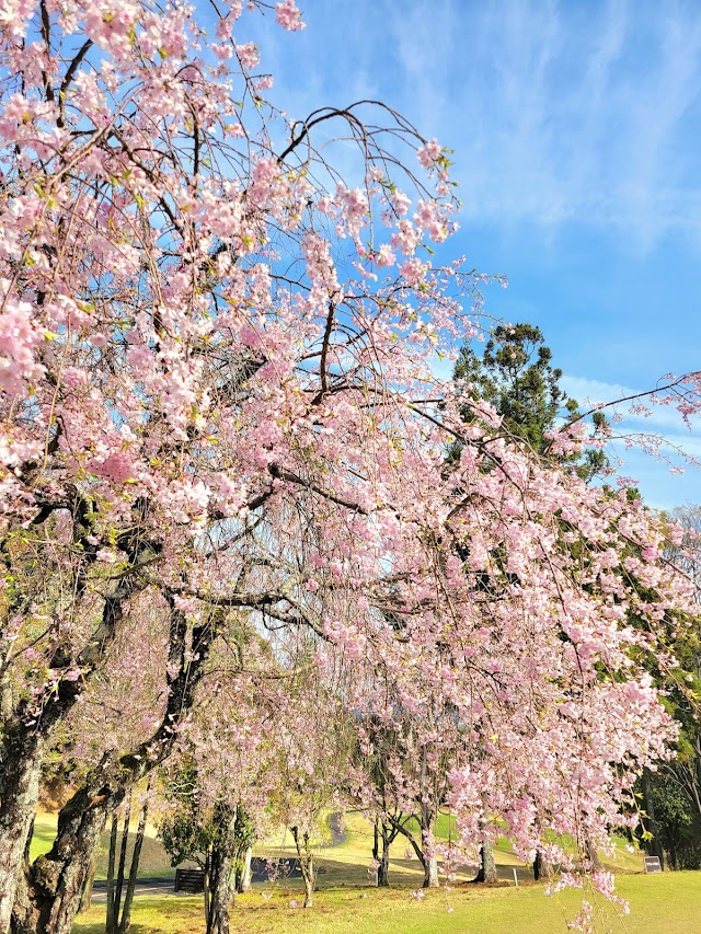 豊田カントリー倶楽部 - Photo 5