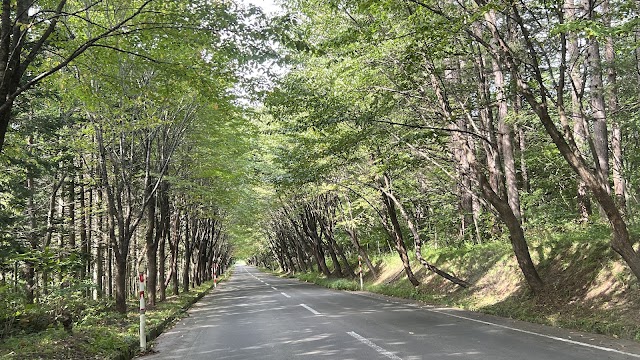 津軽カントリークラブ　百沢コース - Photo 5