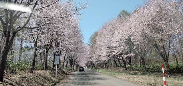 津軽カントリークラブ　百沢コース - Photo 3