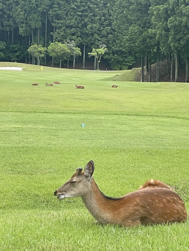 つくでゴルフクラブ - Photo 3