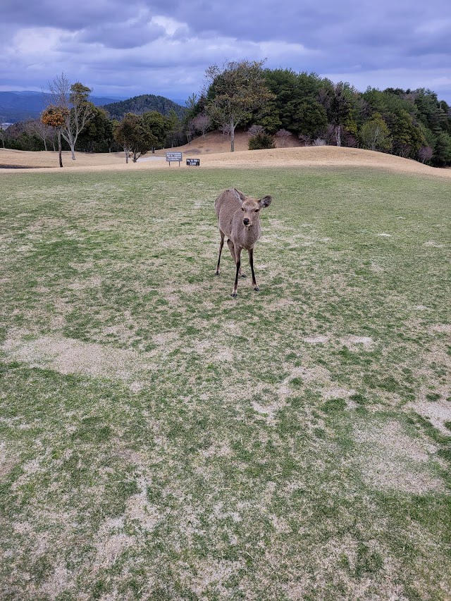 つくでゴルフクラブ - Photo 2