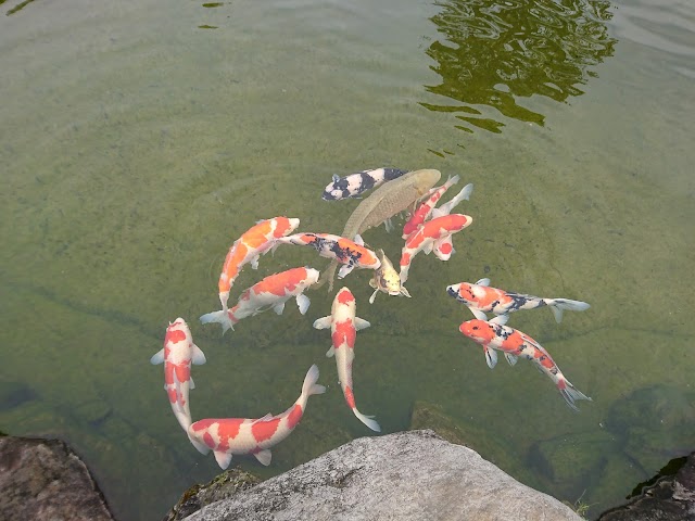 浮羽カントリークラブ - Photo 3