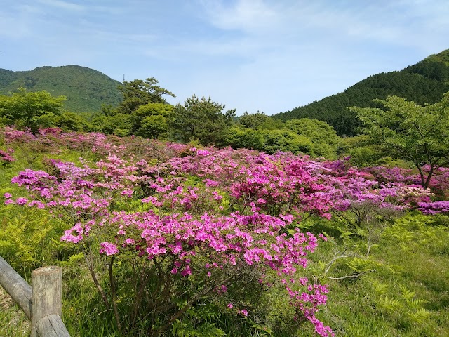 雲仙ゴルフ場 - Photo 5