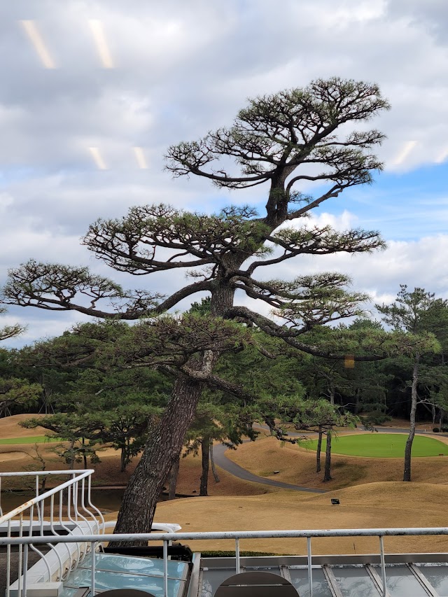 若松ゴルフ倶楽部 - Photo 8