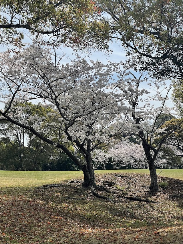 和歌山カントリー倶楽部 - Photo 7