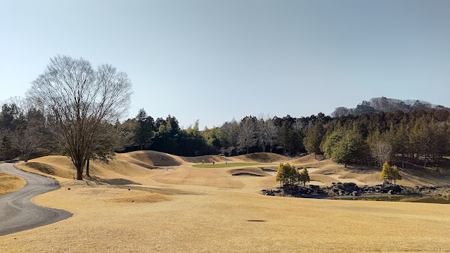 Windsor Park Golf & Country Club - Photo 5