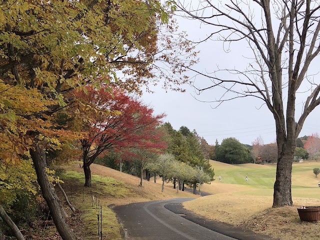 Windsor Park Golf & Country Club - Photo 6