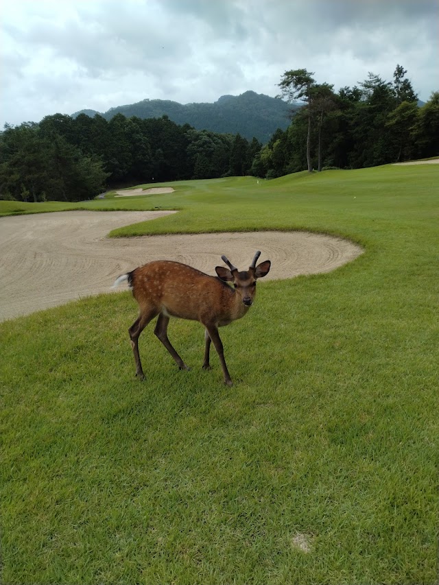 八千代カントリークラブ - Photo 2