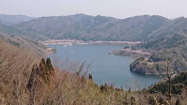 八千代カントリークラブ - Photo 8