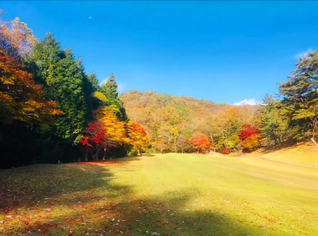 八千代カントリークラブ - Photo 1