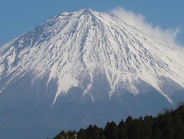 隨縁カントリークラブ　センチュリー富士コース - Photo 7
