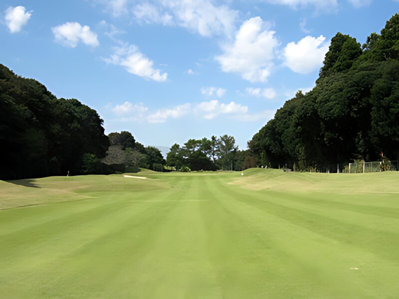 Little Green Valley Funabashi