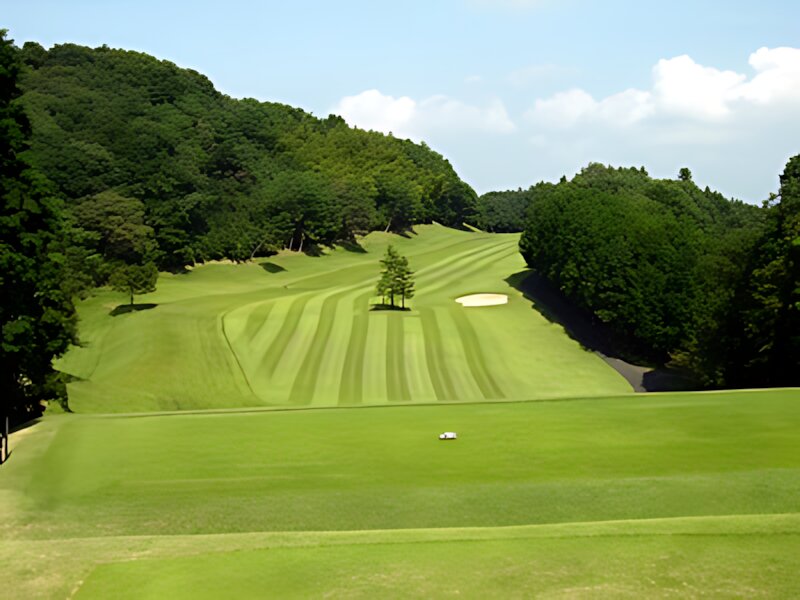 New Central Golf Club