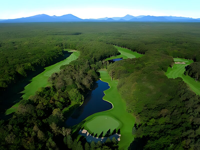 Nidom Classic Course