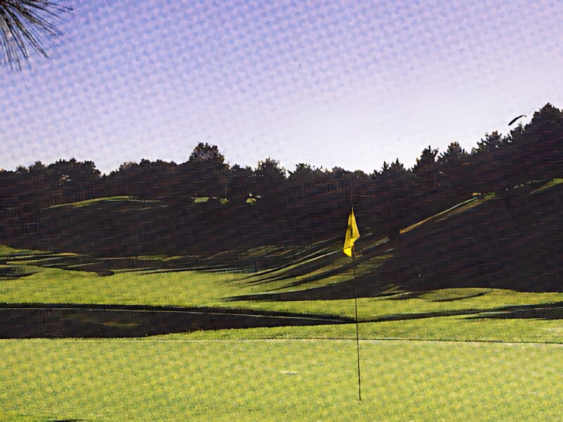 Pacific Club Arima Course