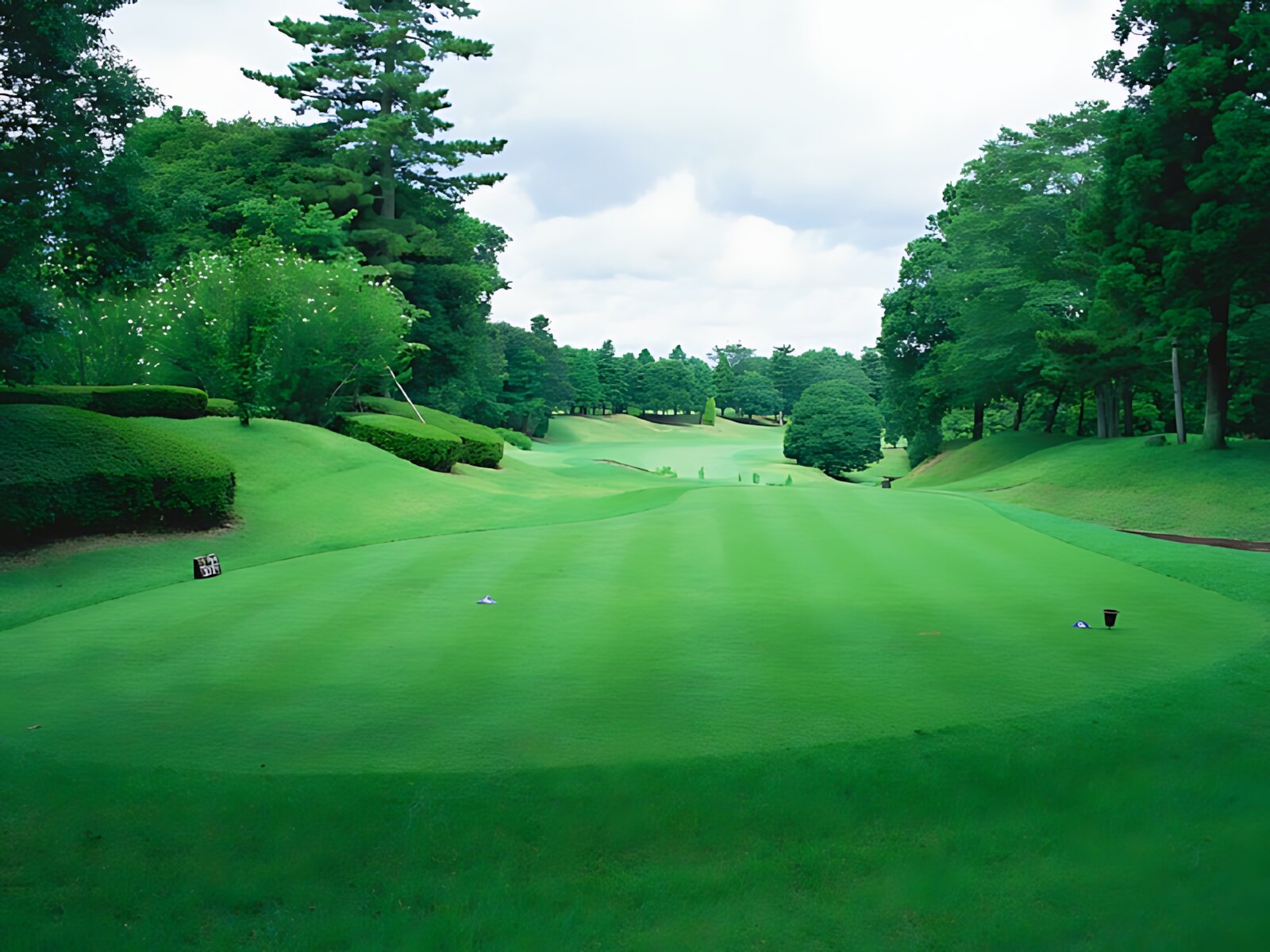 Sobu Country Club Inba Course