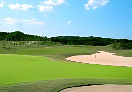 Southern Yard Country Club