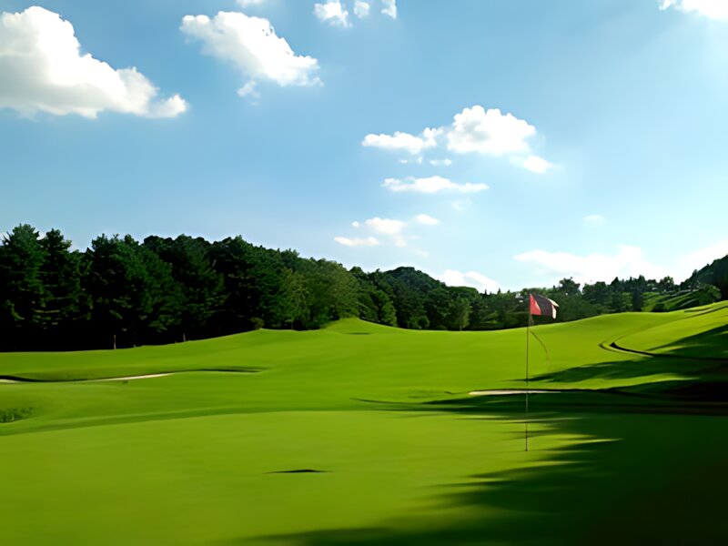 TCC Tsuru Country Club