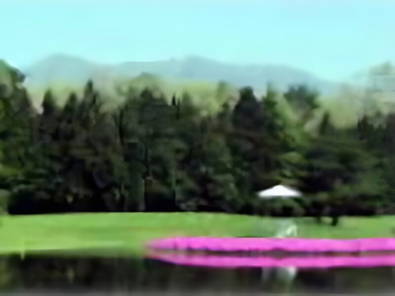 Toda Golf Driving Range