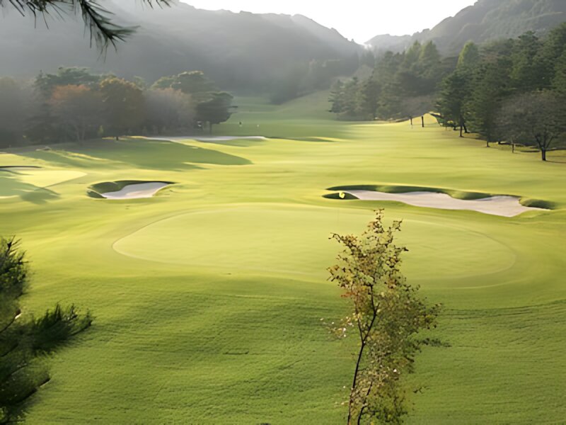 Toga Country Club
