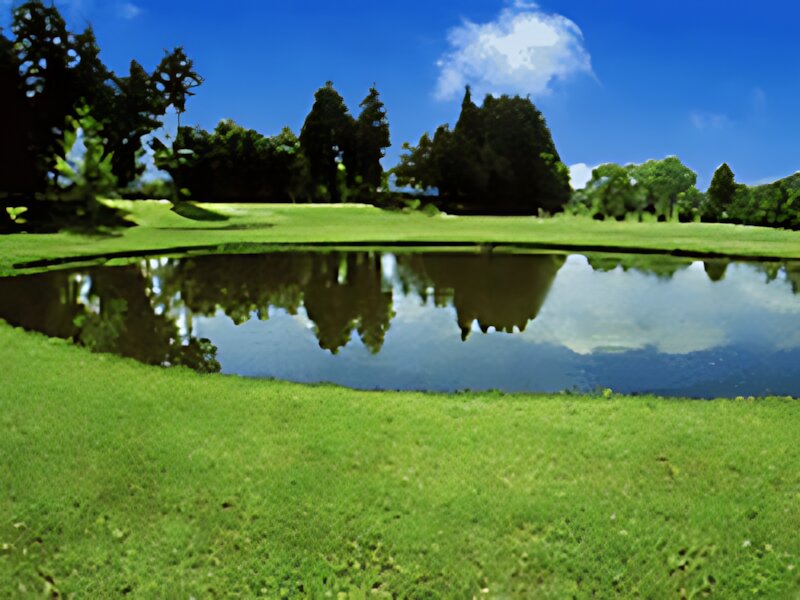 Watanabe Family Golf