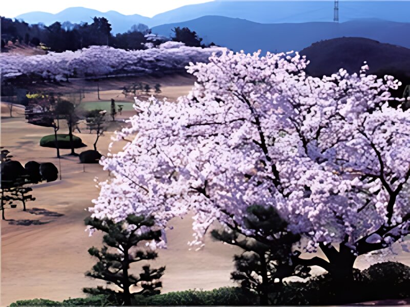 Yomiuri Golf Short Course