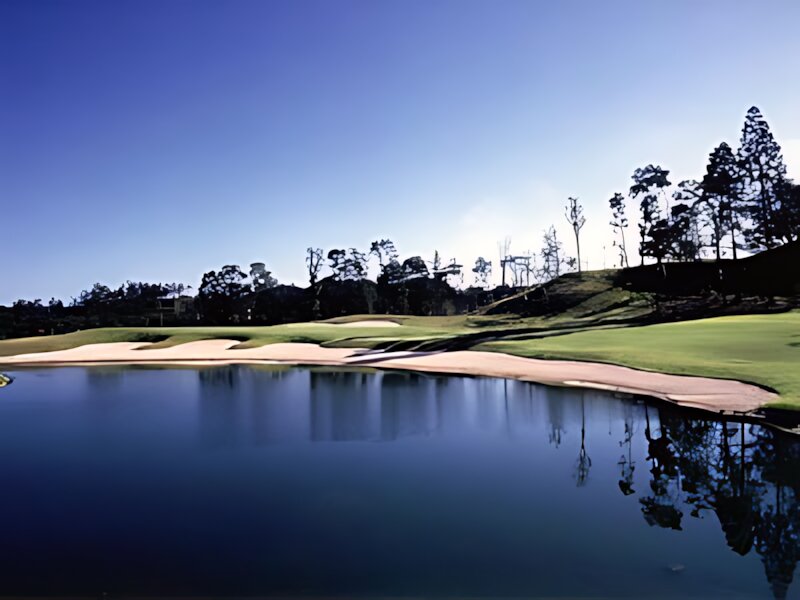 Yoshikawa Inter Golf Club MECHA